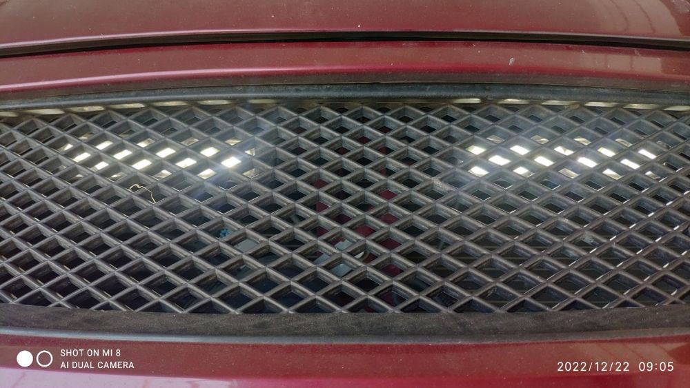 Serena migalka sotiladi