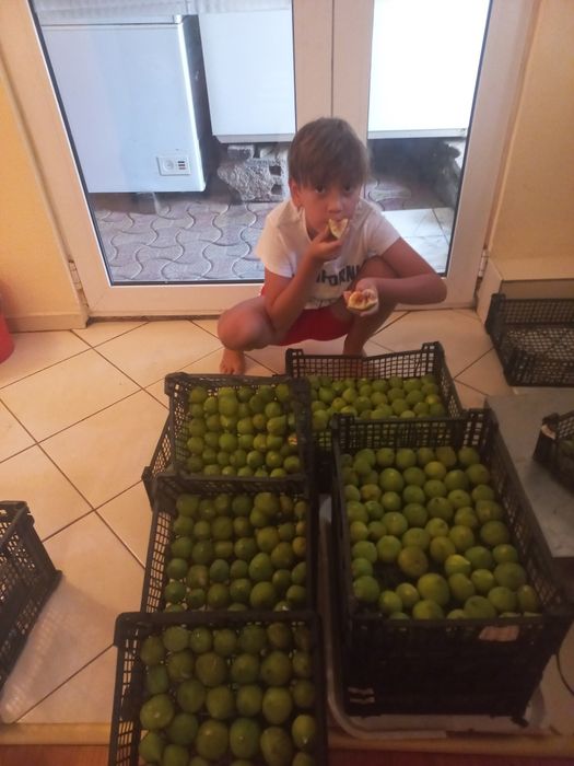 Vindem Smochine DULCI.