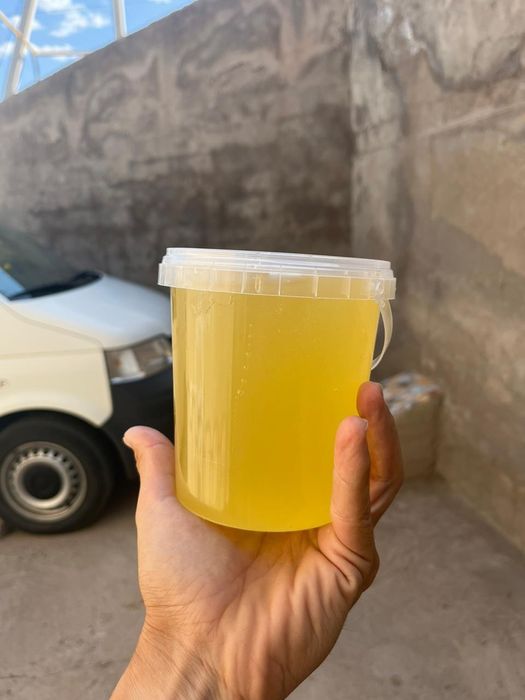 Сдам мед оптом 1400 за 1 кг