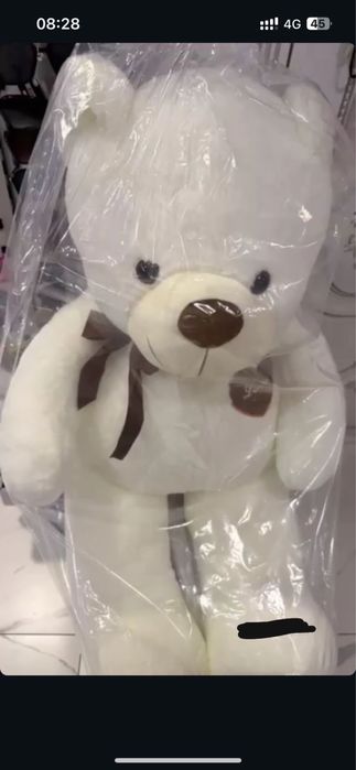 Белый медведь.