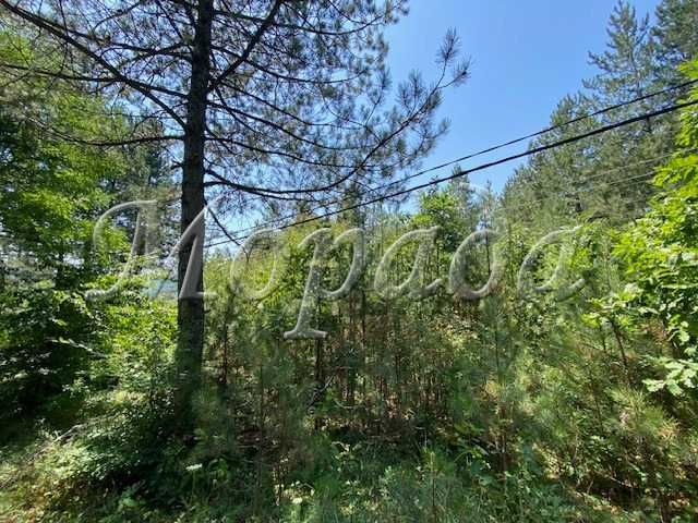 Продава се Къща в с. Луково, Област София-област - 45 кв.м за 289 €/кв.м - Снимка #4