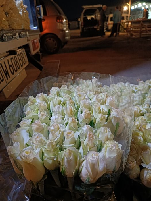 Issixona biznesi bo'yicha Atirgul ko'chatllari sotamiz