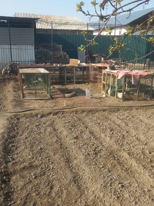 Продаётся железная клетка