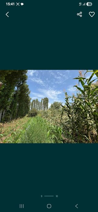 Uy joy 17 sotix sotiladi ( продажа дом с большим участком 17 соток)