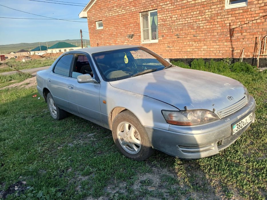 Срочно продам тайота виндом