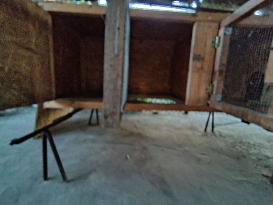 Vând cuști de iepuri
