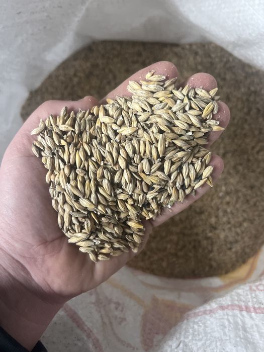 Продам корма для животных