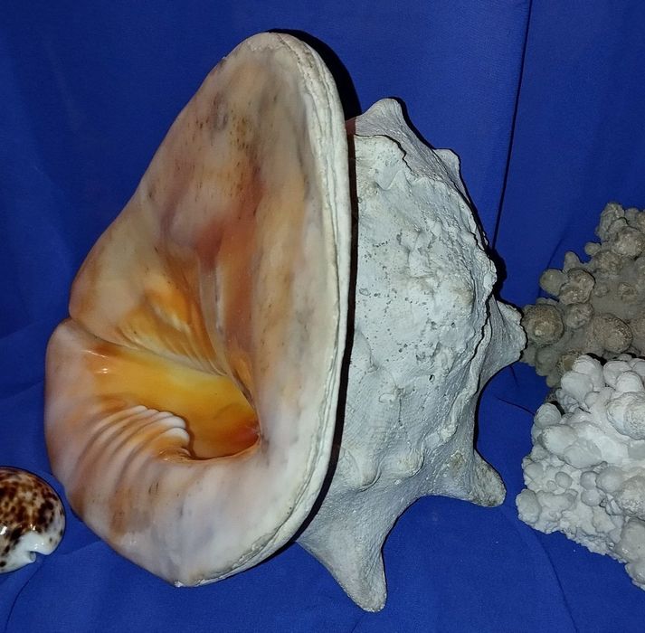 Предметы для дома