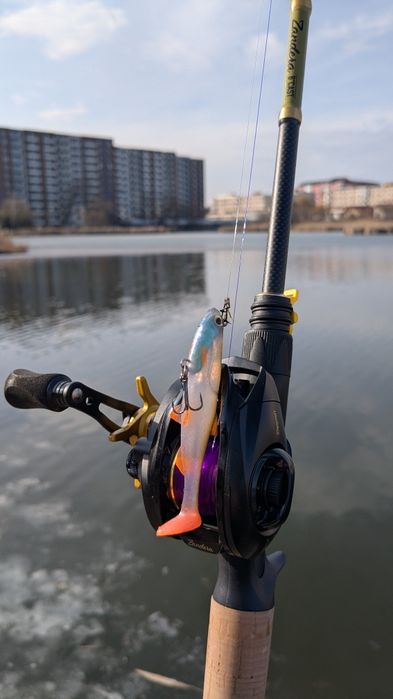 Combo Delphin Zandera B-CAST!