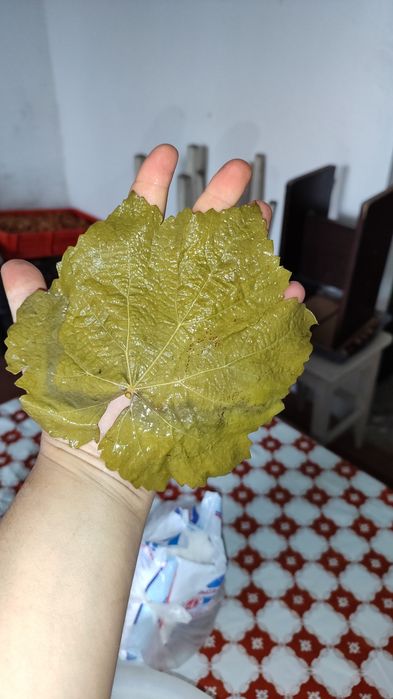 винограные листья