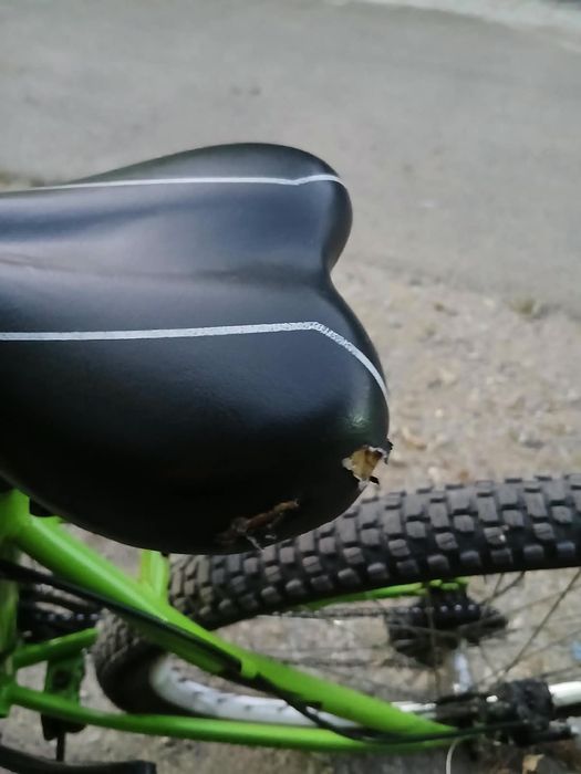 Progress Advance Disc.