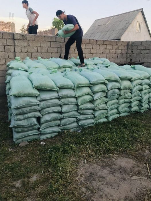 BIOGUMUS (BIOGUMIS) tabiy o'g'it