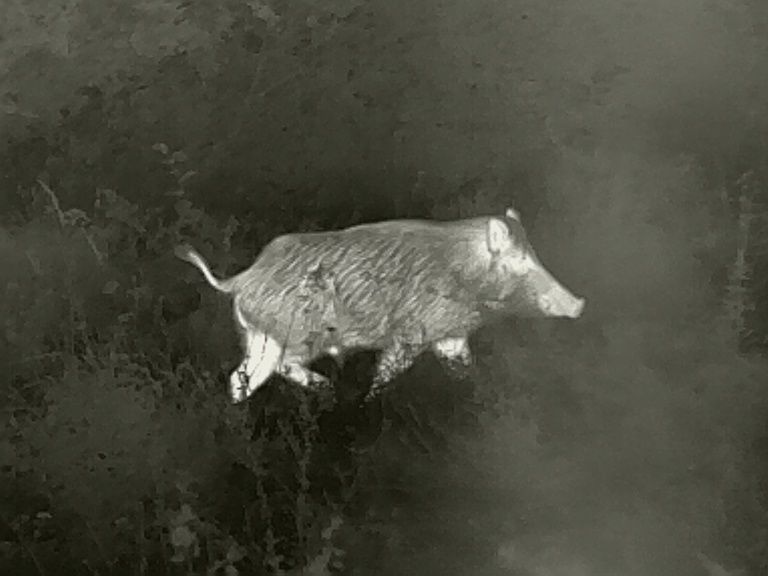 Termoviziune Liemke Merlin 35, nefolosit.