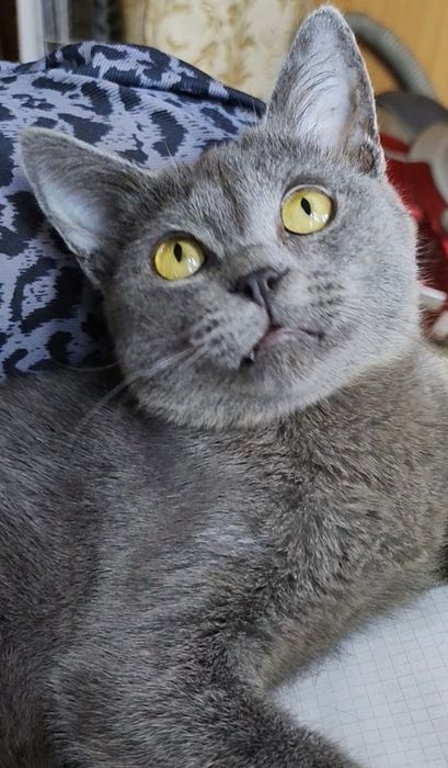 Мальчики подростки