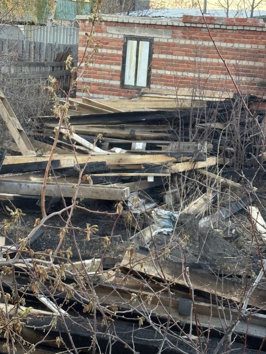 Бесплатно ! Срочно сегодня