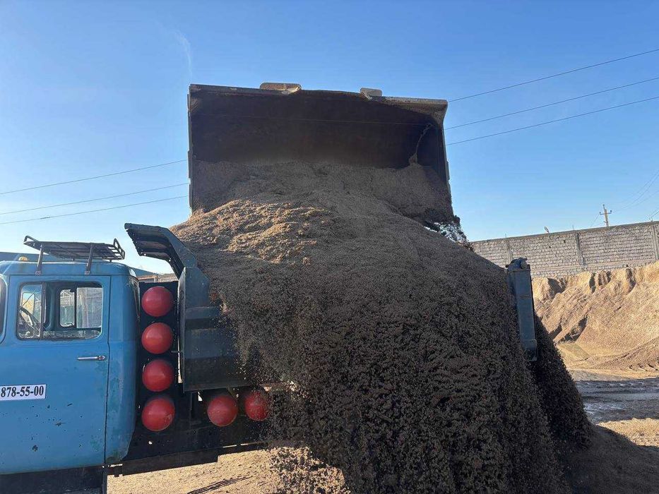 klines | sheben  | kampot |клинес | клинец | шебен | кампот