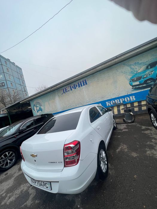 Koblat 2024 Yil Oq Rang 4 Pazitsa Aftamat