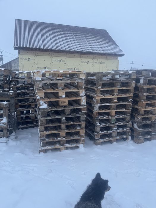 Продам поддоны евро 70 шт