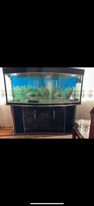 Аквариум 400 литров