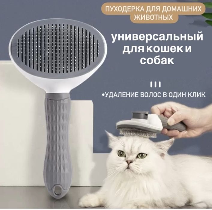 Отдадим кошечку в добрые руки