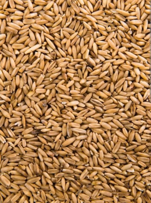 продам зерно в мешках