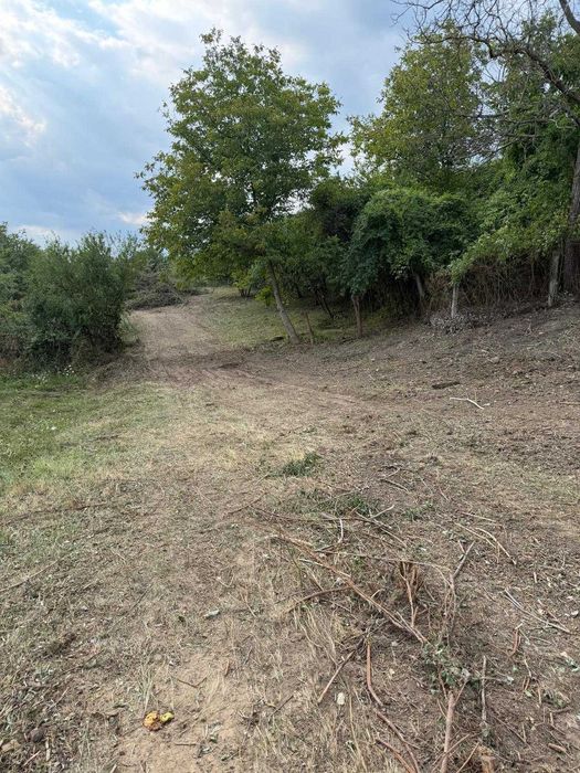Teren de vanzare Sat Vladuceni Comuna Pausesti Maglasi 5000mp - Vedere 5
