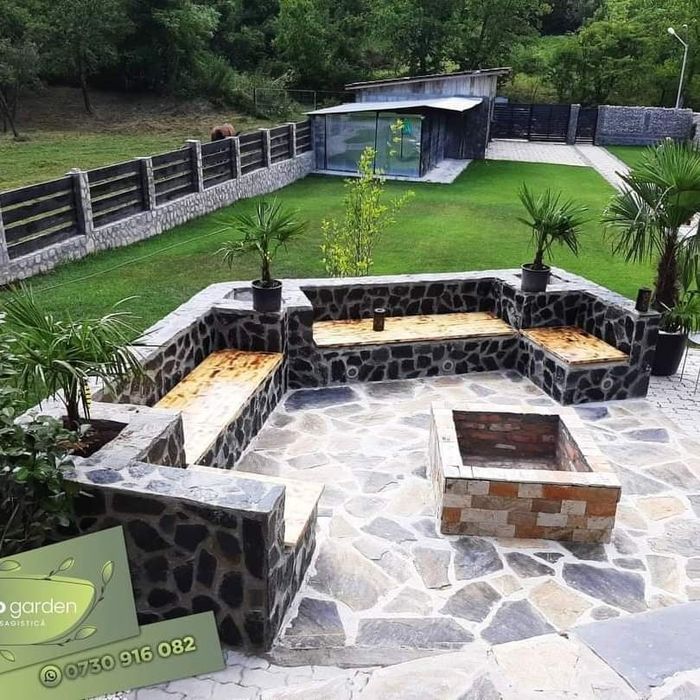 Plante ornamentale tuia