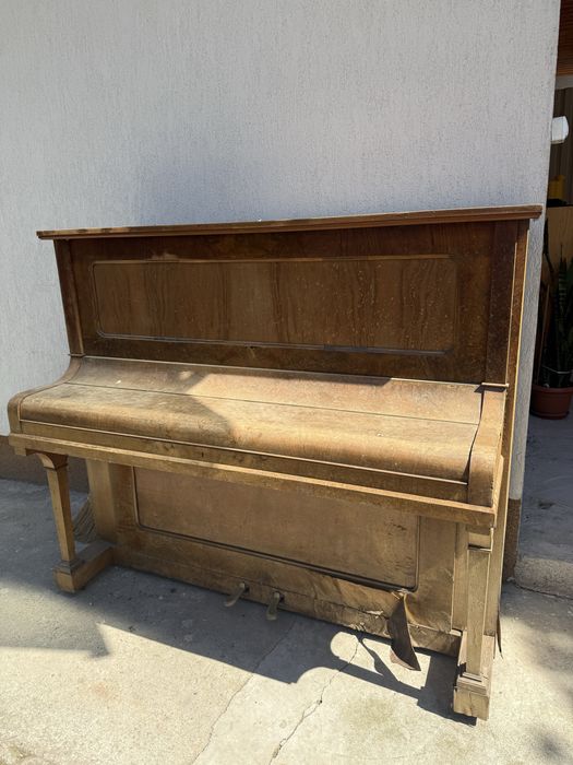 Pianina Steinberg