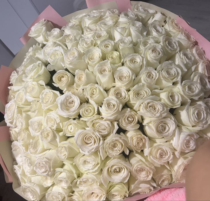 101 метровые белые розы!