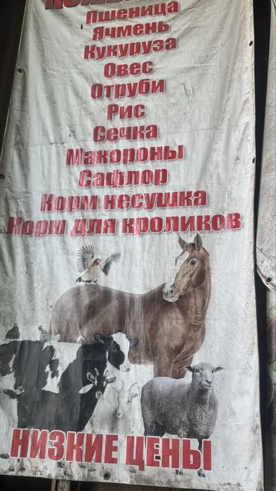 Комбикорм, Алматы