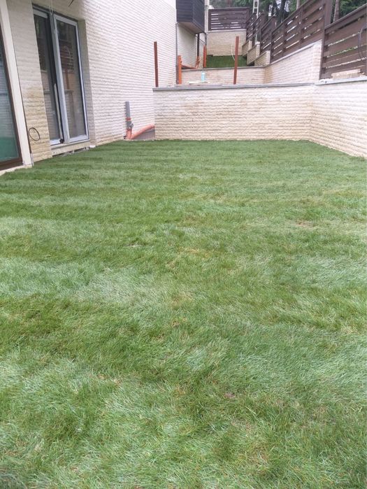 Gazon rulou cu sistem de irigatii