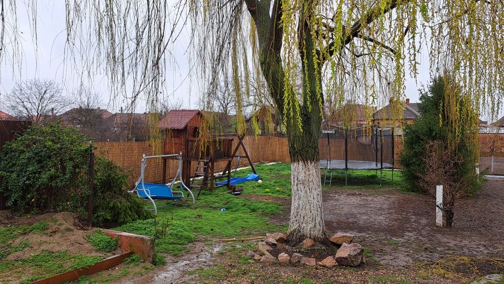 Casa mare cu spatiu comercial in centrul satului Tarian