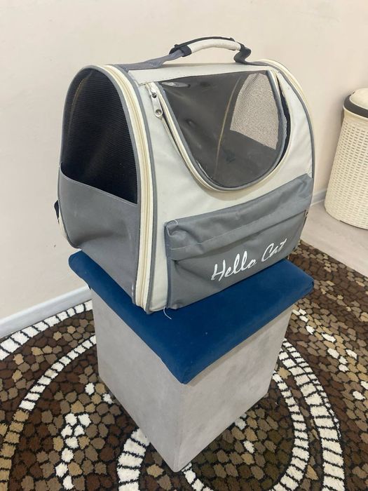 Переноска мушук учун