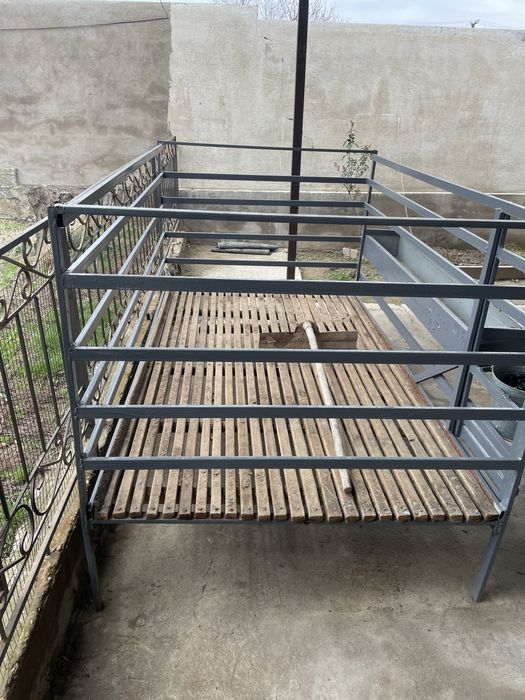 Евро кора кой кошкар