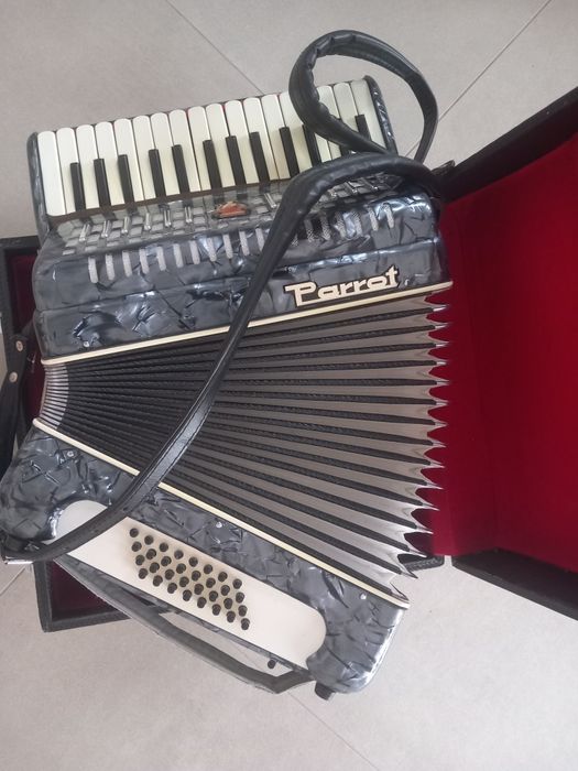 Acordeon parrot  32 basi