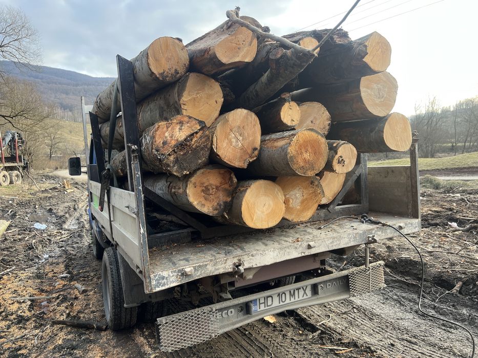 Lemn de foc Fag 3.6 cub