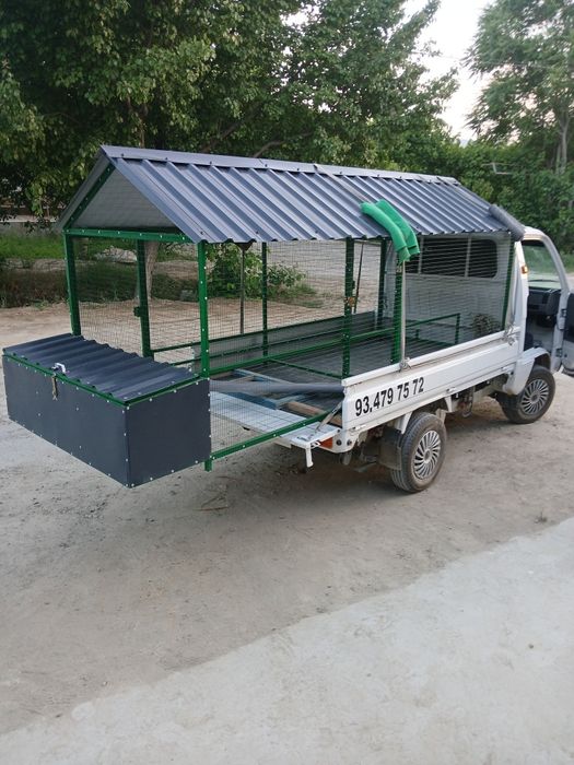Tovuq katak zakazga