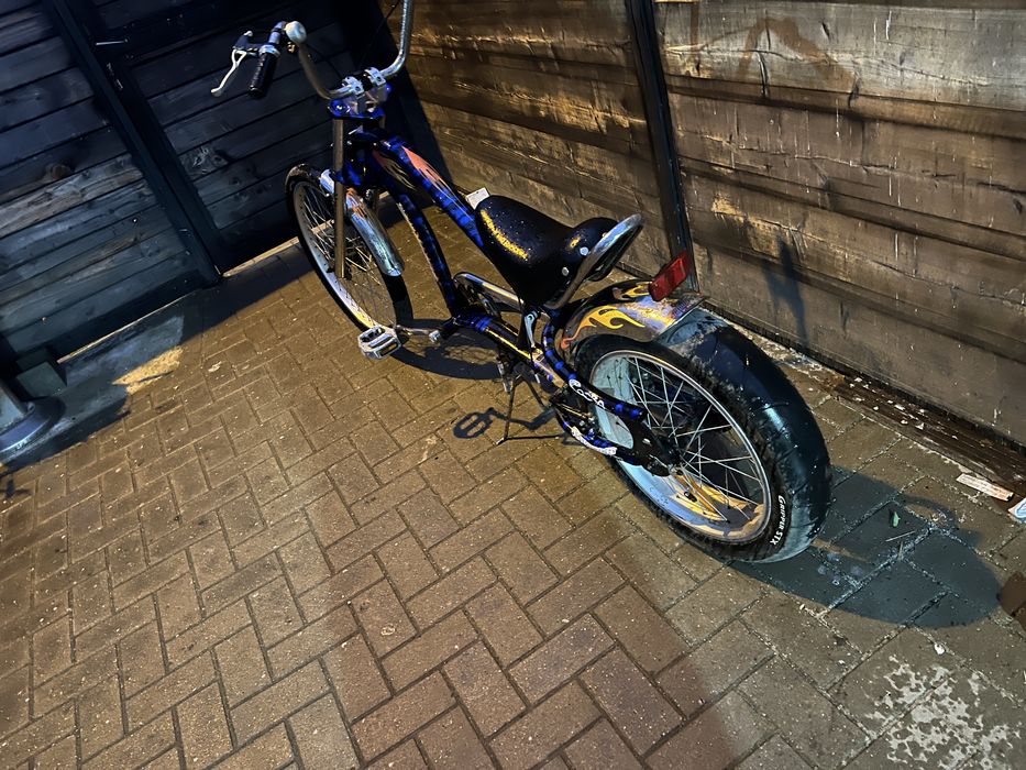 Bicicleta  pentru pasionati