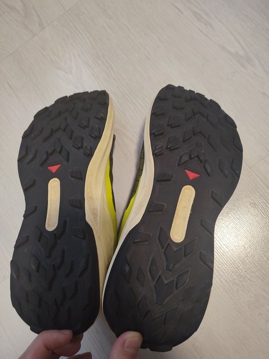 Salomon Genesis 43 Pantofi de alergare trail
