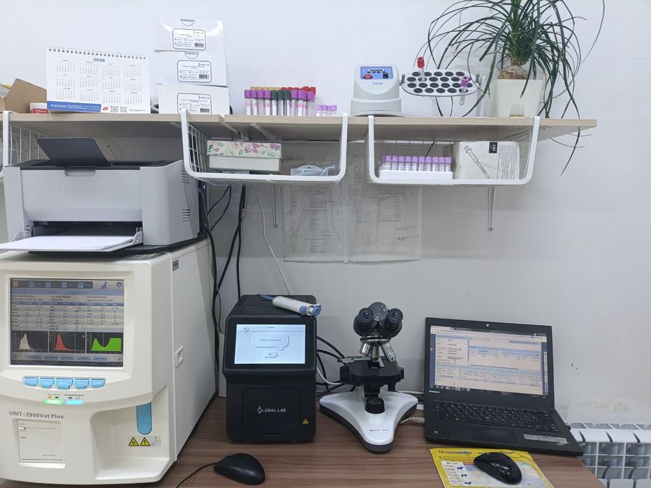 Ветеринарные услуги г.Каскелен