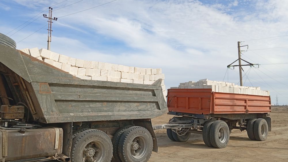 Ақ тас ракушка бейнеу