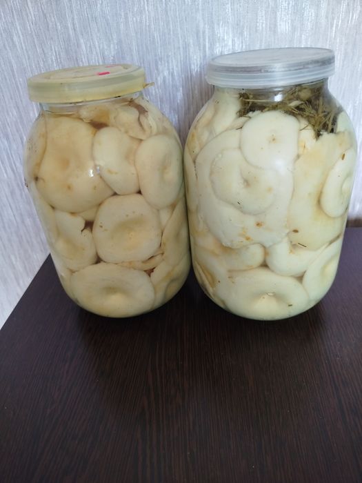 Продам Грузди соленые