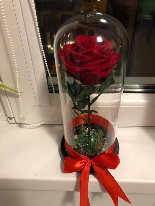 Trandafir criogenat cadou