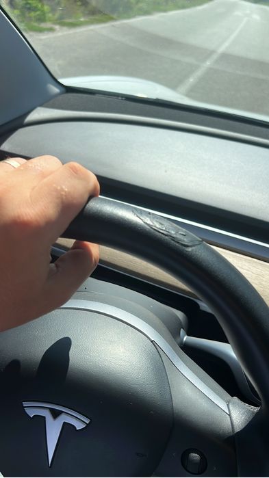 Tesla Model 3 SR+, baterie LFP 90%, an 12.2020  Autopilot 3
