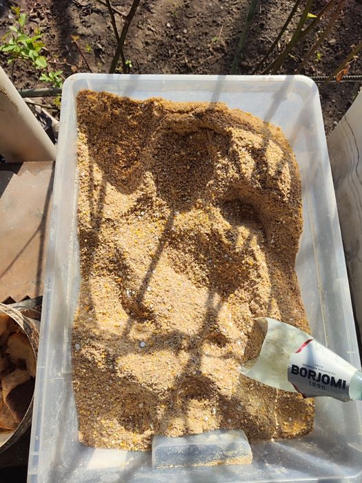 Кукуруза кукуруза