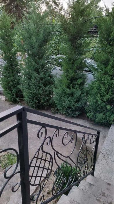 Юнусабад11, 4/1/4, Раздельная НеТорец 81м2,Ипотека Да, Парковка+Огород