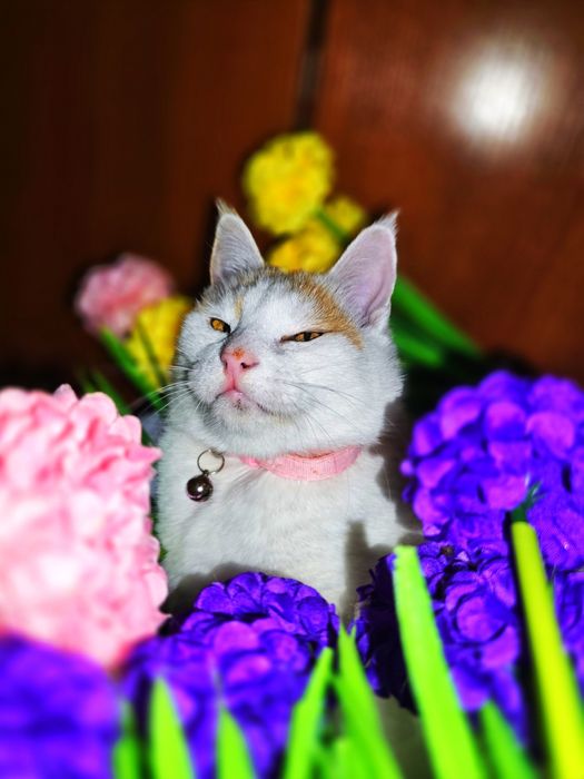 Снежана ждёт семью