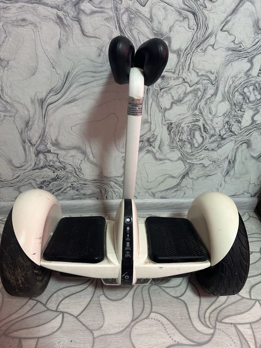 сигвей в хорошо состоянии