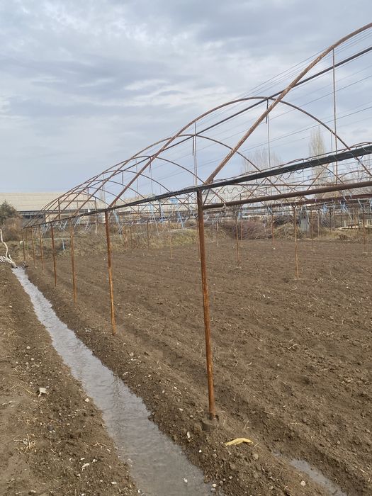 Issiqxona 4.3 sotix sotixi 5 milyon