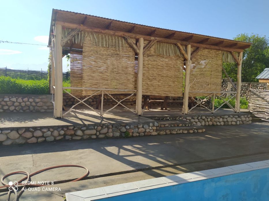 Декоративный камыш !